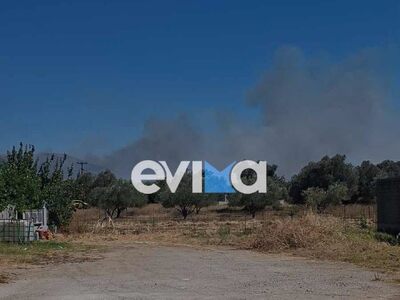 Φωτιά στην Εύβοια: Χωρίς ενεργό μέτωπο- ...