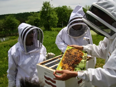 Πανελλαδική κινητοποίηση των μελισσοκόμω...