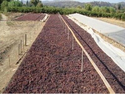 Αίγιο: Εγκρίθηκε η ενταξη στο πρόγραμμα ...