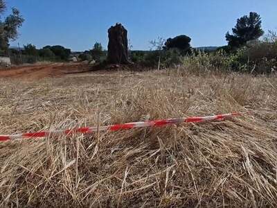 Ραφήνα: «Τρέξε, πεθαίνω.Με πυροβόλησε ο ...