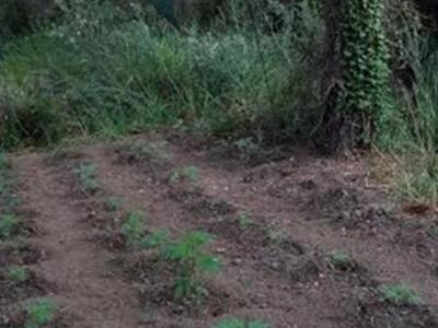 Δυτική Ελλάδα:Λύθηκε το μυστήριο  με το ...