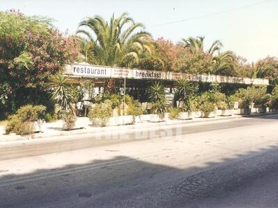 Η κατάφυτη πλευρά της παραλιακής (αρχεί...