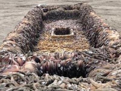 Η θάλασσα ξέβρασε στις ΗΠΑ, βάρκα φάντασ...