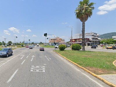 Αγρίνιο: Αποτρόπαιο θέαμα με νεκρούς σκύ...