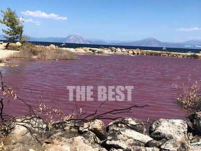 Τσουκαλέικα: Για στάσιμα νερά που είναι ...