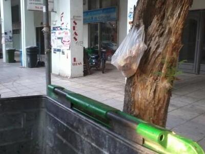 Παράπονα για δυσοσμία από τους κάδους απ...