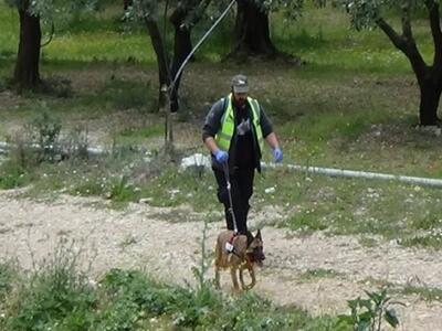 Δυτική Ελλάδα: Έρευνες αναζήτησης δηλητη...