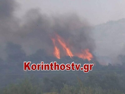 Kόρινθος: Φωτιά σε δάσος στα Αθίκια– «Κά...
