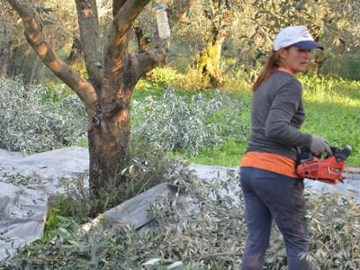 Παράταση στο πρόγραμμα νέων αγροτών
