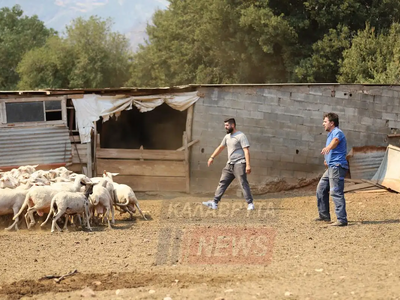 Λειβάρτζι Καλαβρύτων: Οι αγωνιώδεις στιγ...