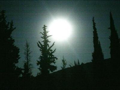 Εκδηλώσεις σε όλη την Ελλάδα για την αυρ...