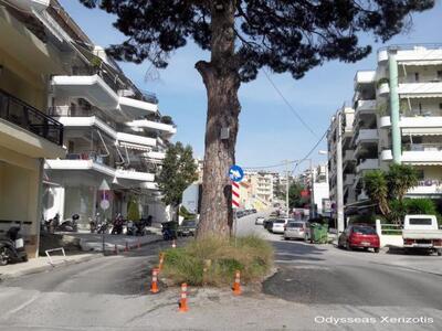 φωτο Οδυσσέας Ξεριζωτής