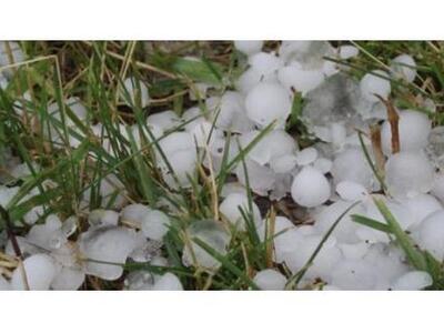 Καταστράφηκαν ολοσχερώς καλλιέργειες από...