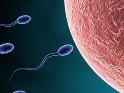 Η ανδρική υπογονιμότητα συνδέεται με αυξ...