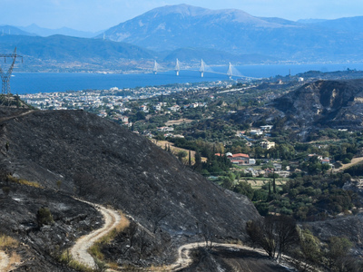 Πάτρα 2025: Άγνωστη λέξη οι γεννήτριες- ...