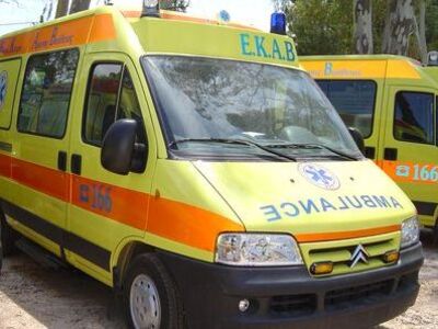 28χρονος πέθανε από τσίμπημα μέλισσας