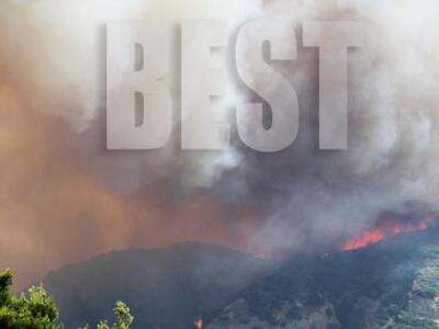 Σε ασφαλές σημείο μεταφέρθηκαν τα σκυλιά...