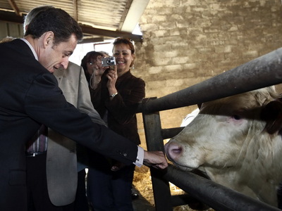 Μέτρα  Σακροζί για τους γαλακτοπαραγωγούς 