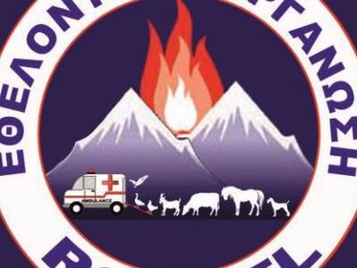 Ηλεία: Κατηγορούνται για το όπλο ... υπν...