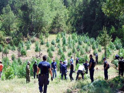 Δυτ. Ελλάδα: To τηλέφωνο "έκαψε&quo...