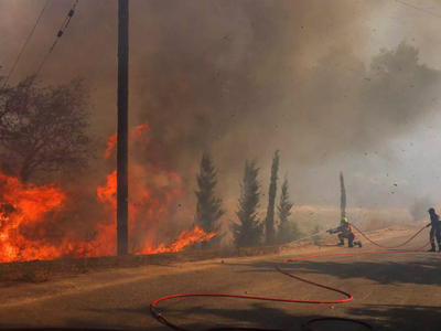 Φωτιές: Πόσο κοστίζει κάθε εκτάριο γης π...