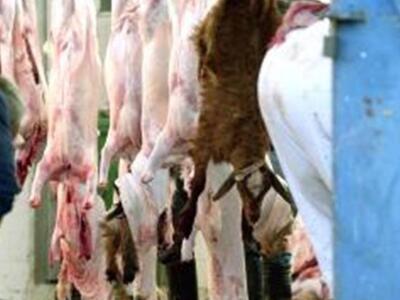 Ερύμανθος: Βολές Βγενόπουλου σε Γεωργακό...