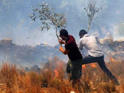 Υπό μερικό έλεγχο η φωτιά στα Ανω Δολιαν...