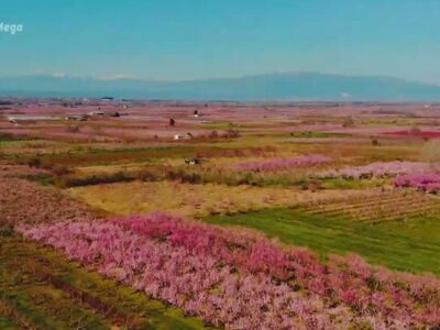 Σπεύδουν οι νεόνυμφοι για μια φωτογραφία...