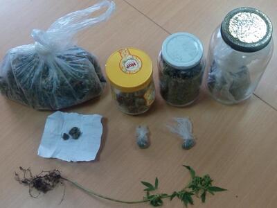 Ηλεία: Η καλλιέργεια των συγγενών...Δύο ...