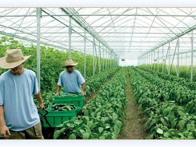 Σύσκεψη για τα αγροτικά στη Ν.Δ. 