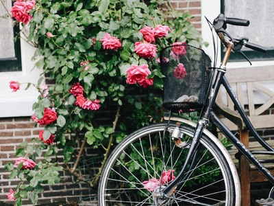 Αμαλιάδα: Έκλεψε ποδήλατο έξω από εκκλησία