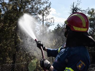 Αγρίνιο: Φωτιά σε δασική έκταση στην περ...