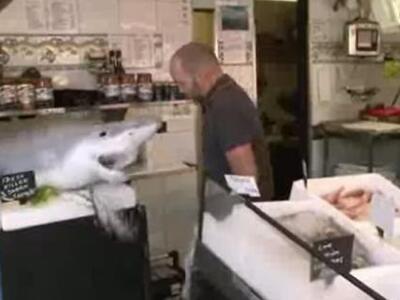 Δείτε τι έγινε όταν... ζωντάνεψε καρχαρί...