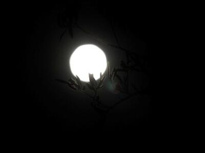 Ολόγιομο φεγγάρι πάνω από την Ακρόπολη -...