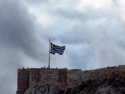 Τα δελφίνια και οι καρχαρίες 
