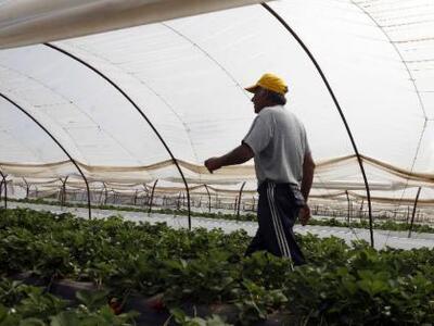 ΣΥΡΙΖΑ: Εγκληματική, ρατσιστική πράξη οι...