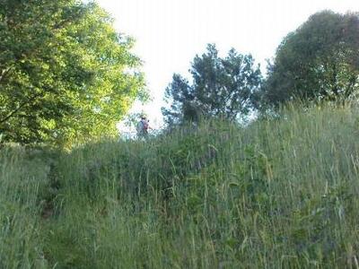 Πάτρα: Παρεμβάσεις απο την αντιδημαρχία ...