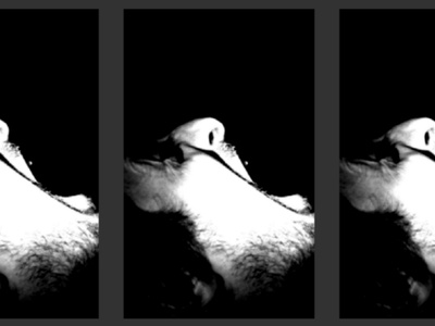 Η δική μας κραυγή