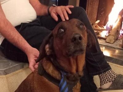 Πάτρα: Βρέθηκε ο Ριγκολέτο