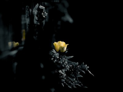 Πάτρα: Συλλυπητήρια Δημάρχου για τον θάν...