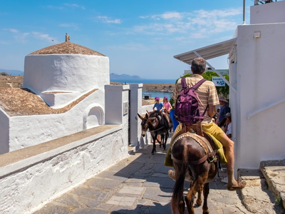 Άλογα και γαϊδουράκια στην Ελλάδα: Ανύπα...