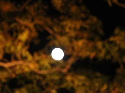 Γιατί οι ισχυρότεροι σεισμοί σημειώνοντα...