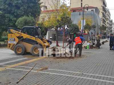 Πάτρα: 74 μανόλιες στον πεζόδρομο της Μα...