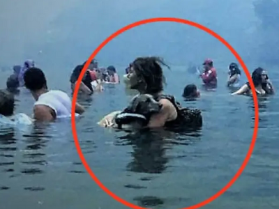 Πέθανε ο Αμόρ, ο σκύλος που επέζησε χάρη...