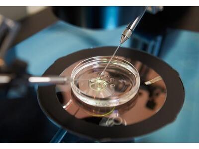 Ζευγάρια από 30 χώρες για εξωσωματική γο...