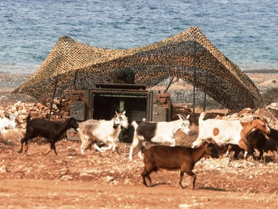 Οι κατσίκες απειλούν τη Σαμοθράκη! 