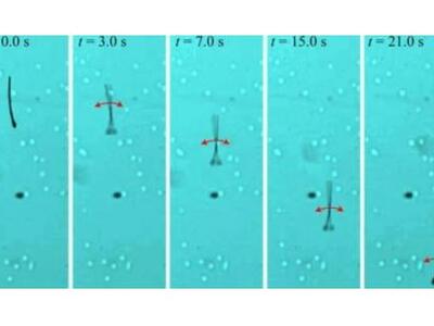 Απίστευτο! Εφτιαξαν το πρώτο ρομπο-σπερματοζωάριο