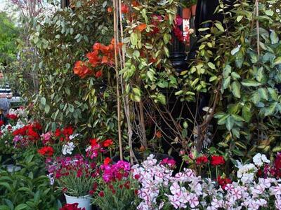 Αίγιο: Η Αγορά Γιορτάζει την Ημέρα Προστ...