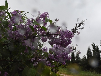 Καιρός: Έρχονται βροχές και βοριάδες μετ...