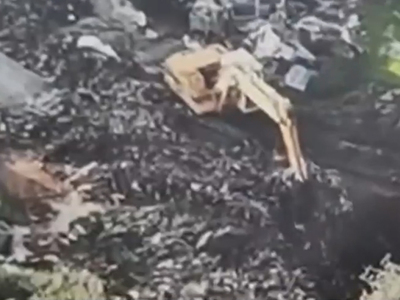 Πρέβεζα: Παράνομη ταφή 200 τόνων ζωικών ...